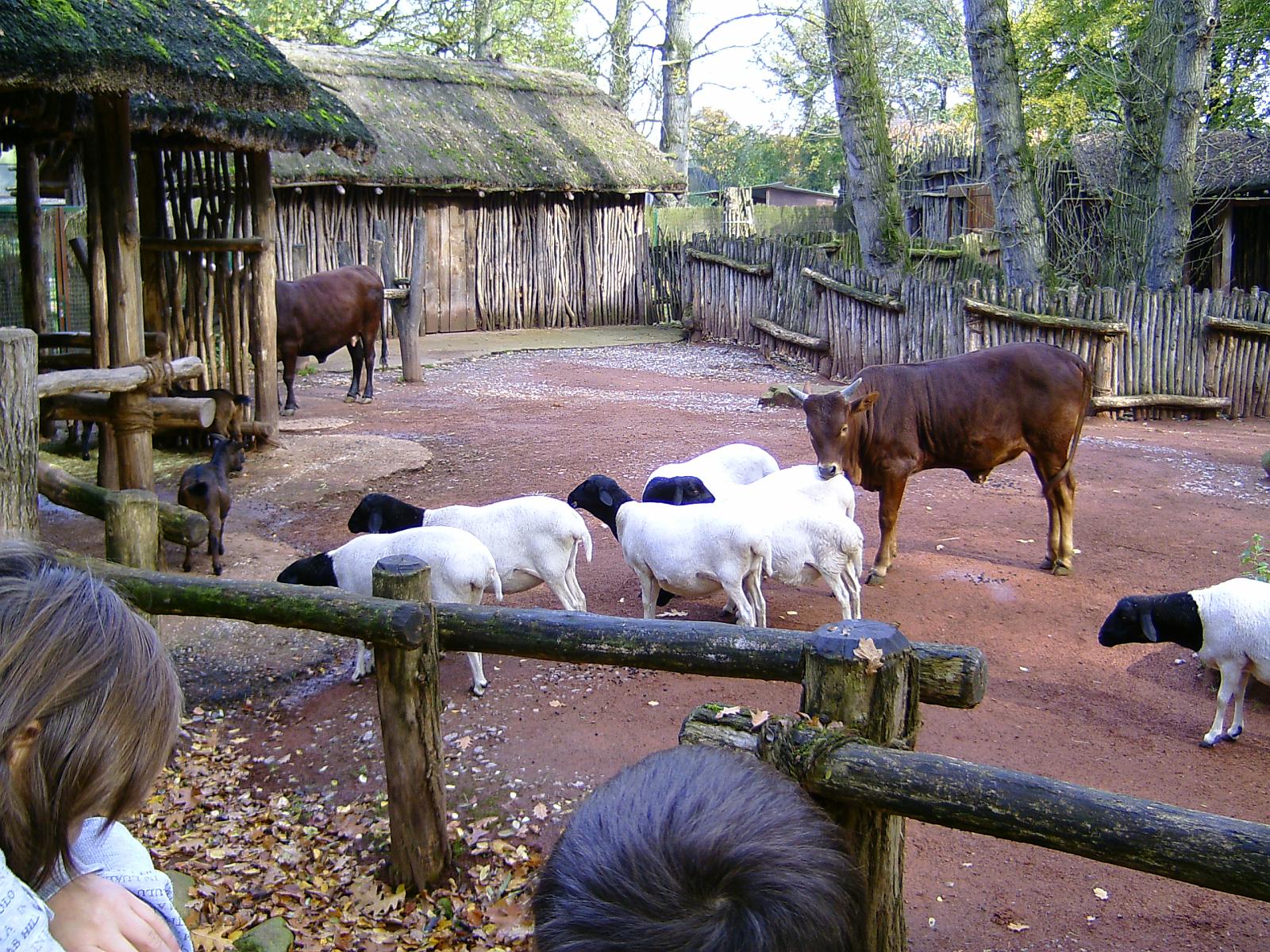 Zoom 18.10.08-087.jpg